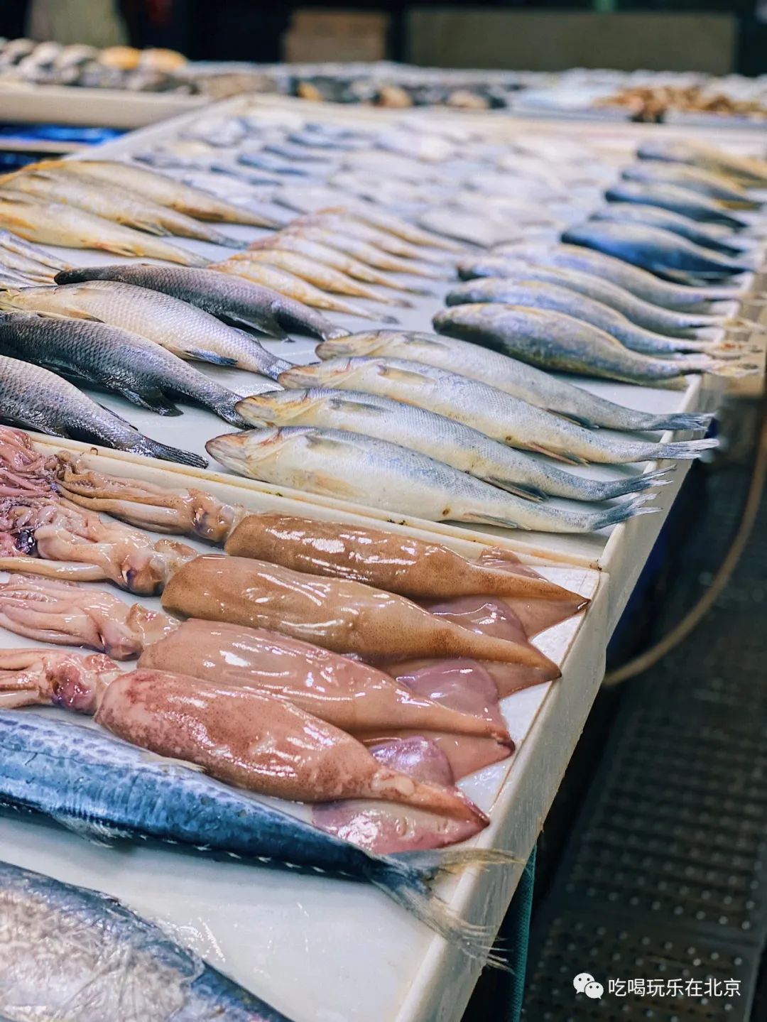 朝阳区海鲜市场,北京朝阳区海鲜市场