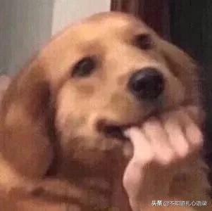 有哪些沙雕又可爱的句子?喜欢一个人太累了,所以我喜欢了十个…