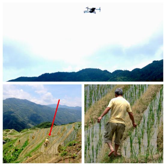 榫欒剨姊敯鏀荤暐鍙嶆淳,榫欒剨姊敯鎬紓