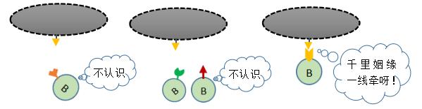 抗体怎么产生的,抗体从合成到分泌的步骤