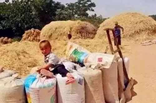 铜川拉煤货运,铜川拉煤车