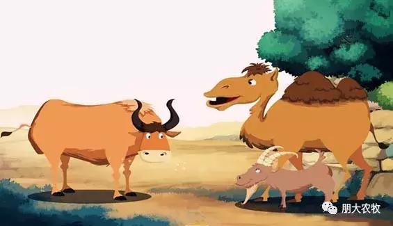 小时候不懂长大了才看懂了,长大了才看懂课文