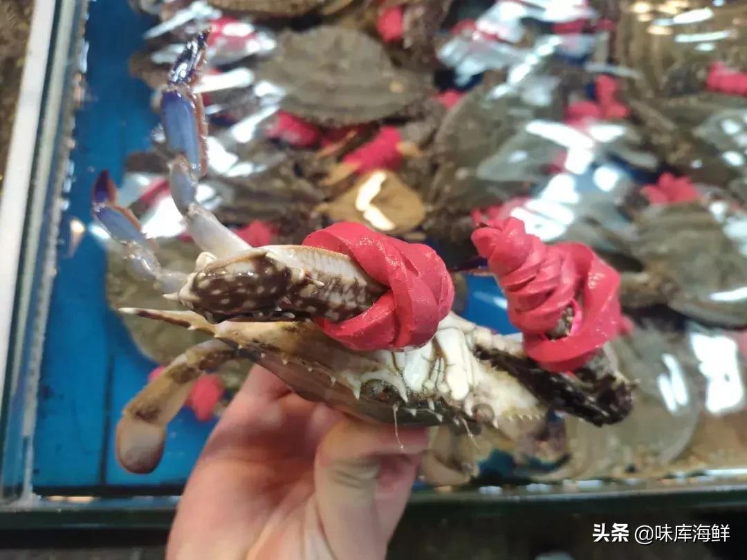 海鲜市场的猫腻怎么处理,青岛海鲜市场的猫腻