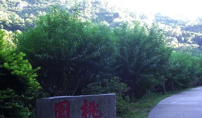 珠海有一个面积最大的观竹景区，,也是珠海最佳的氧吧