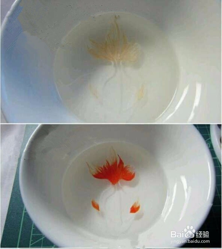 树脂画金鱼的做法,3d树脂金鱼画教程视频