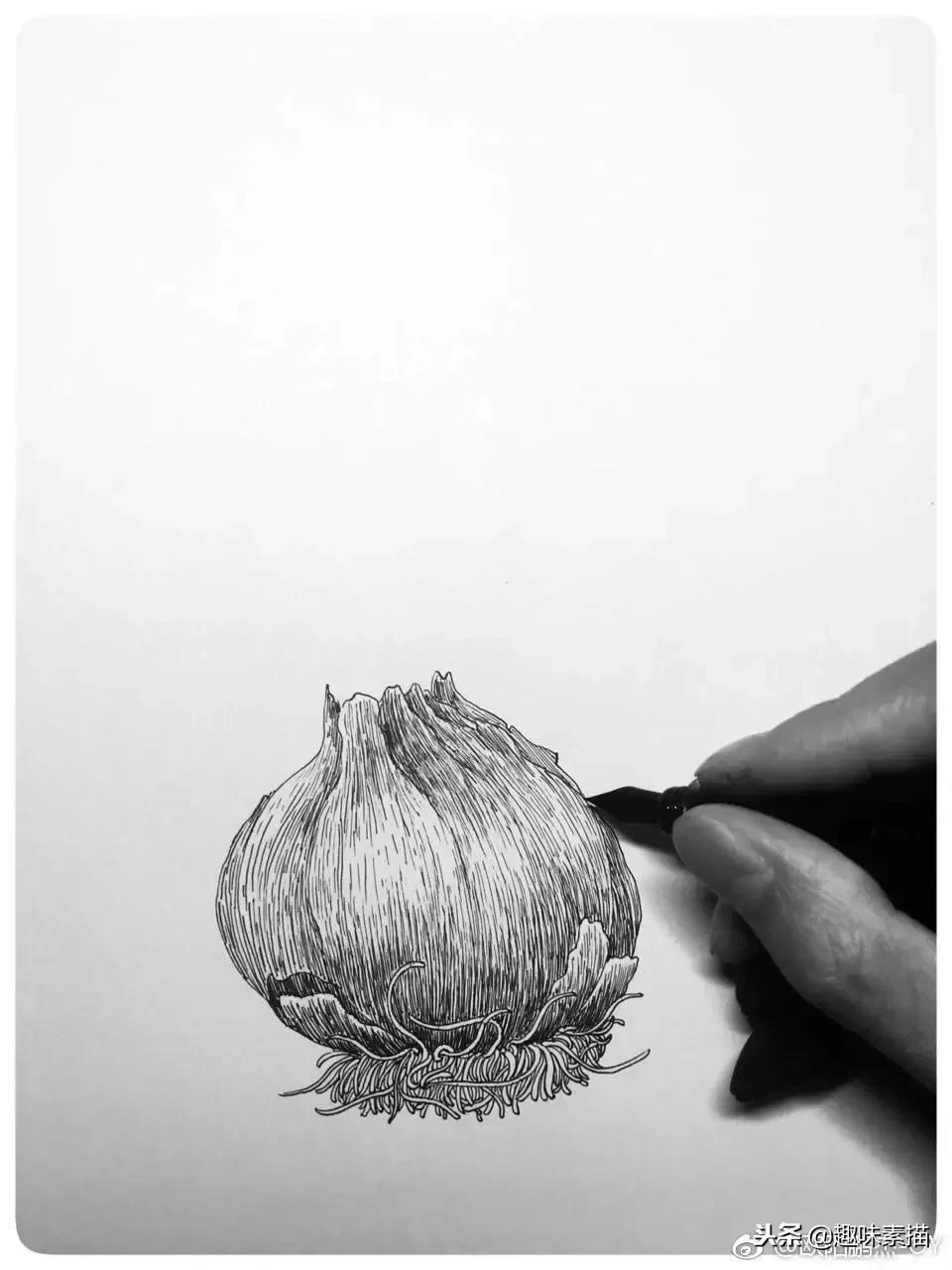 针管笔入门初学者画风景,针管笔教程