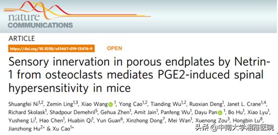 美国约翰霍普金斯医学院和湘雅医院联手揭示腰痛发生新机制