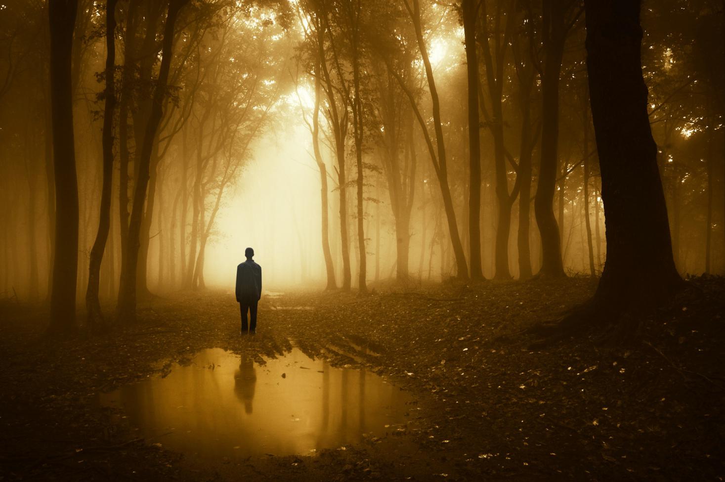 心智障碍工作,心智残缺是怎么回事