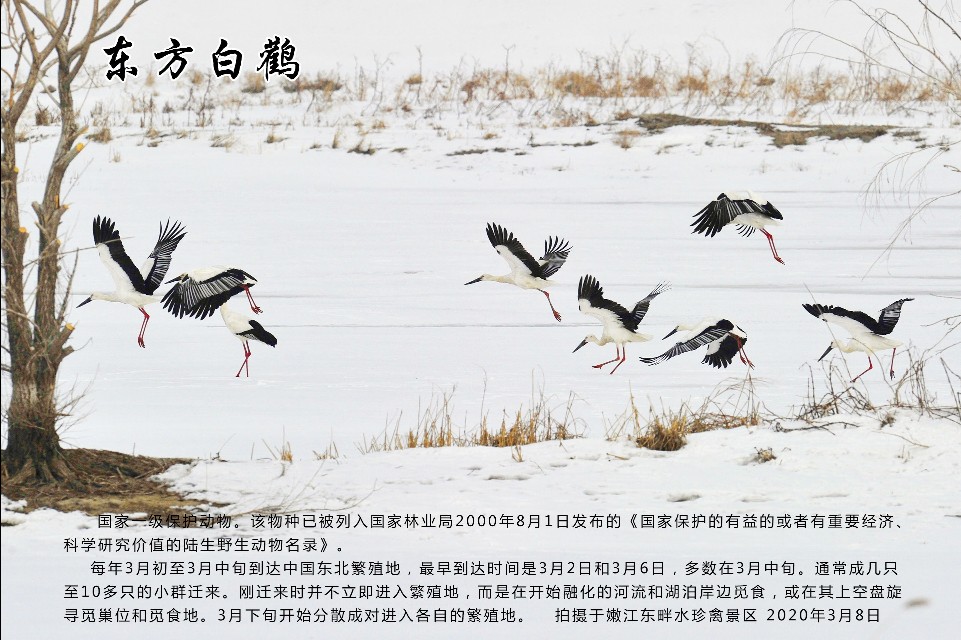 榻愰綈鍝堝皵瀚╂睙涓滄按鐝嶇鍏洯,榻愰綈鍝堝皵瀚╂睙涓滄按鐝嶇婀垮湴鍏洯