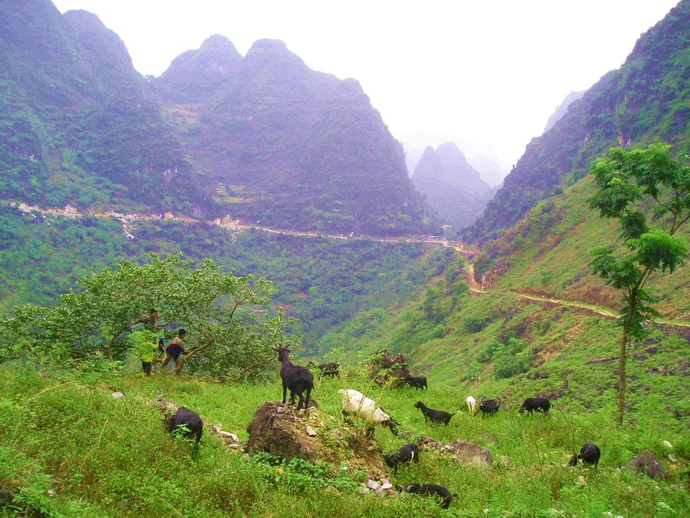 2006年，我走进广西都安山区，发现那里的人真的是“人穷志不穷”