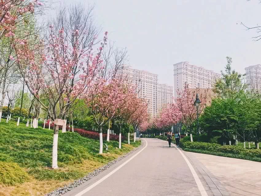 武汉21个免费景点,武汉43个免费景点出炉