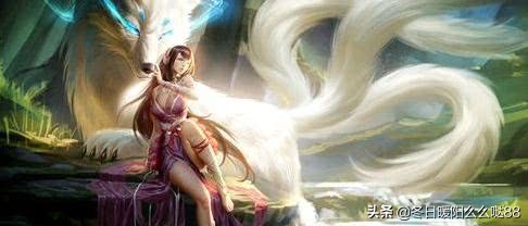 人气最旺的十本言情小说,人气最高的12本网络小说