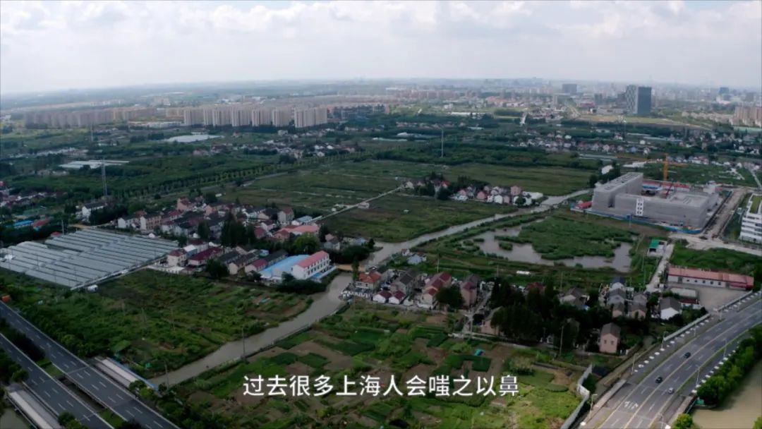 房价8万，逆袭张江？上海外环的唐镇能如愿逆袭吗？