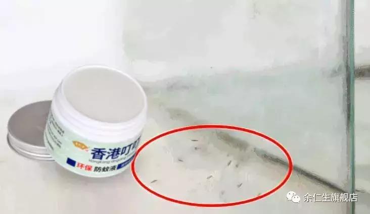 夏天蚊虫多驱蚊小方法,夏天蚊虫不易进来