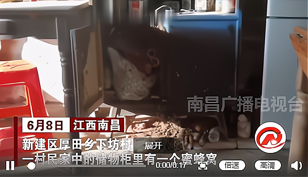 蜜蜂喜欢在家里的什么地方筑巢,蜜蜂喜欢在山上什么地方筑巢