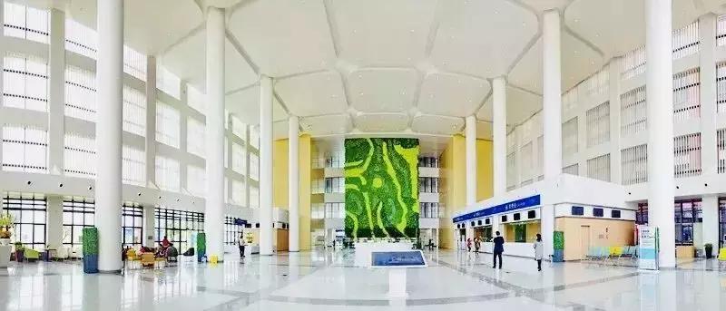 眉山市妇幼保健院待遇,柳州妇幼保健院工资多少