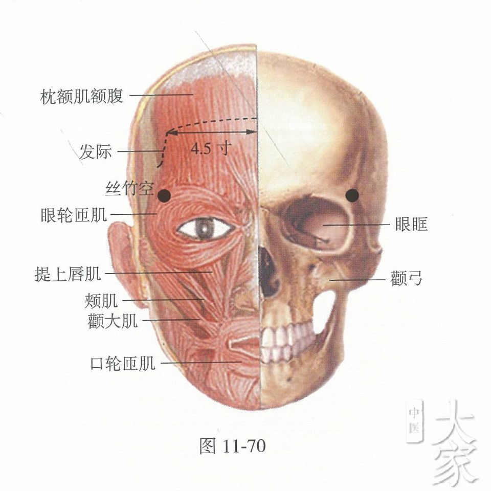 头晕目眩，眼睛里出现亮光可按摩此穴，并且有消除鱼尾纹的作用