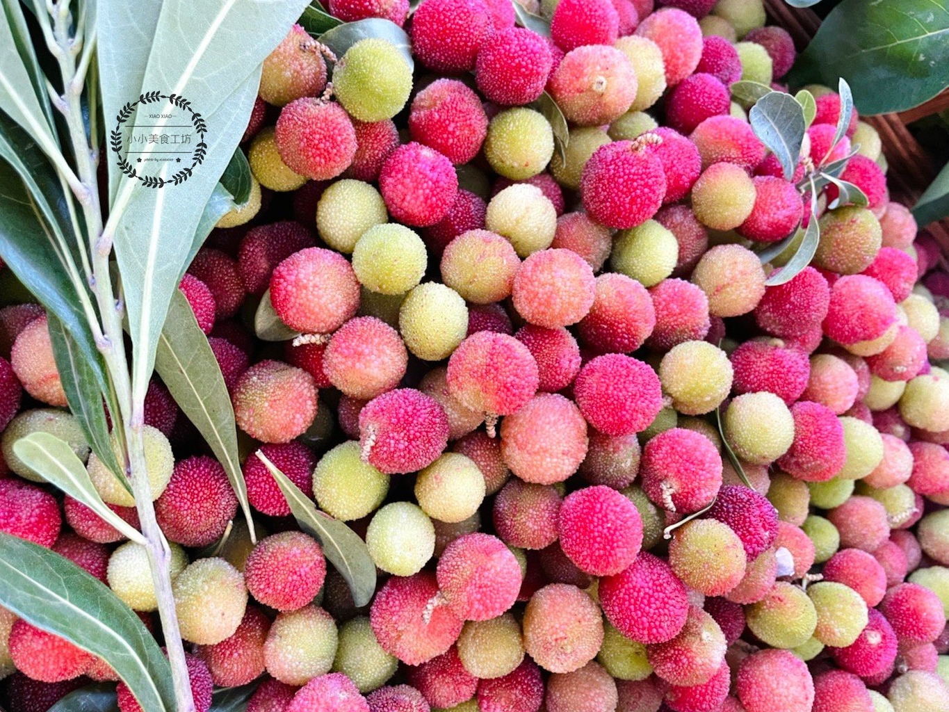 吃杨梅用水洗不,吃杨梅吃到虫卵有没有事