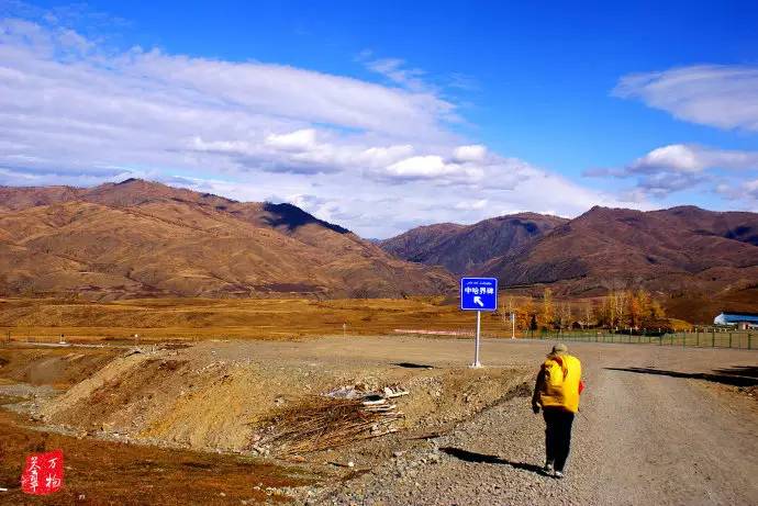中国鸡尾,中国鸡尾巴