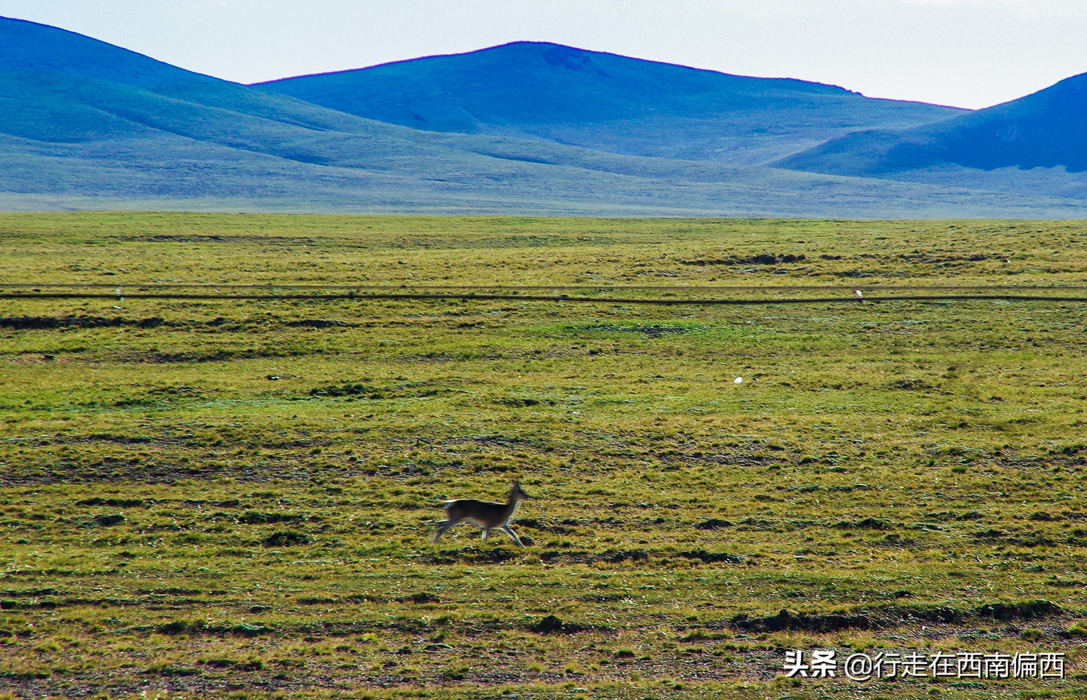 青藏线，光环之外，平凡之上的天路