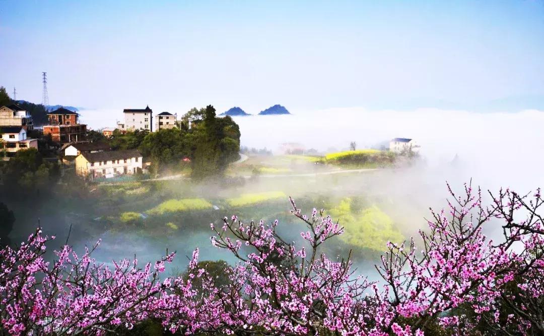 金庸小说中的桃花岛确有原型,金庸里的桃花岛在哪里呀