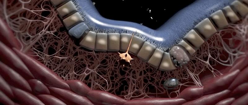 哮喘的发病原理,哮喘科普文章作品简介