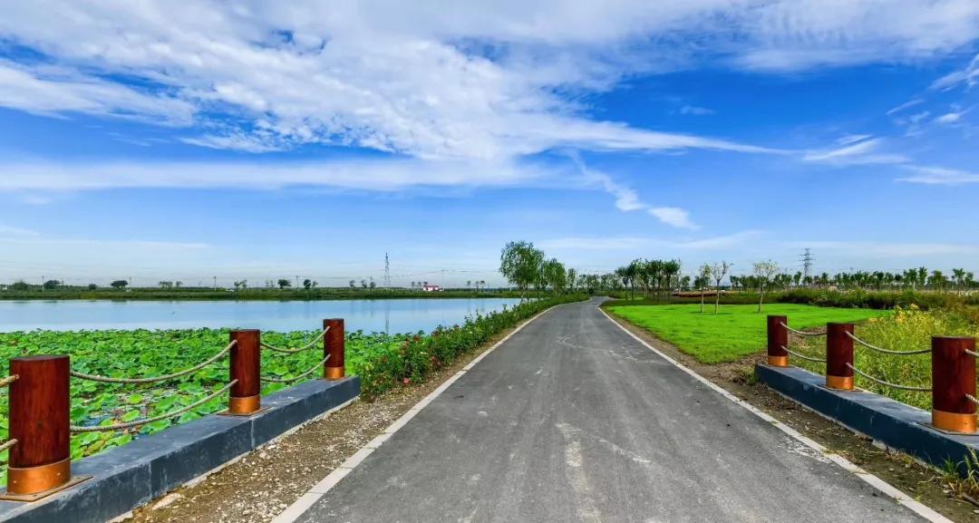 津南区打架,津南区打架视频