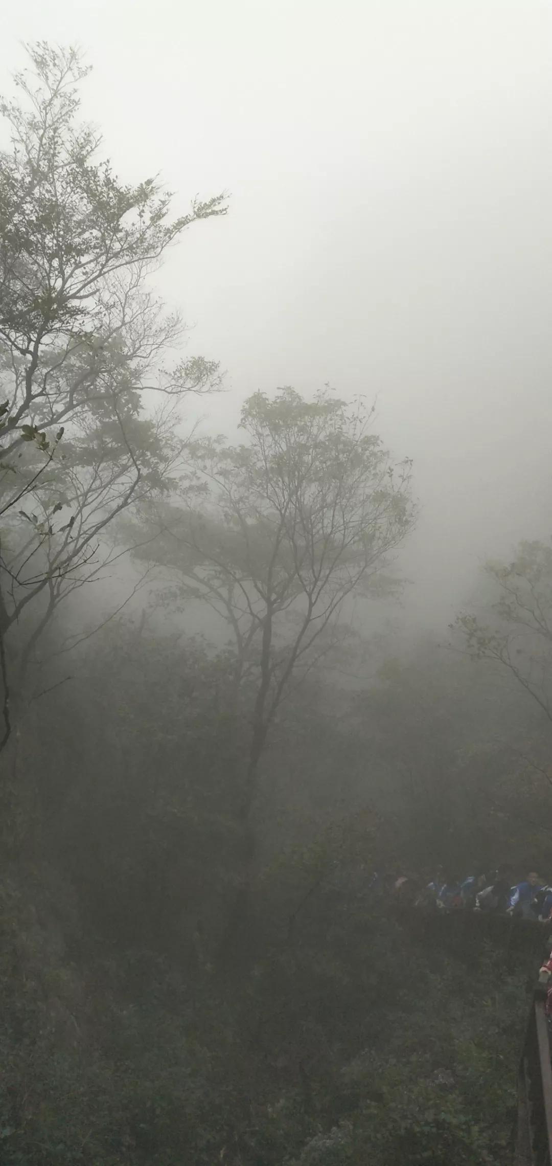 庄河天门山国家森林公园,庄河天门山冰雪大世界