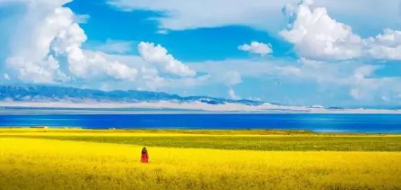 疗愈身体的神奇音乐100首完整版,疗愈身体的神奇密码