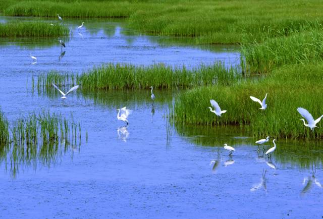 五一武汉市周边游,五一武汉周边短途旅游推荐