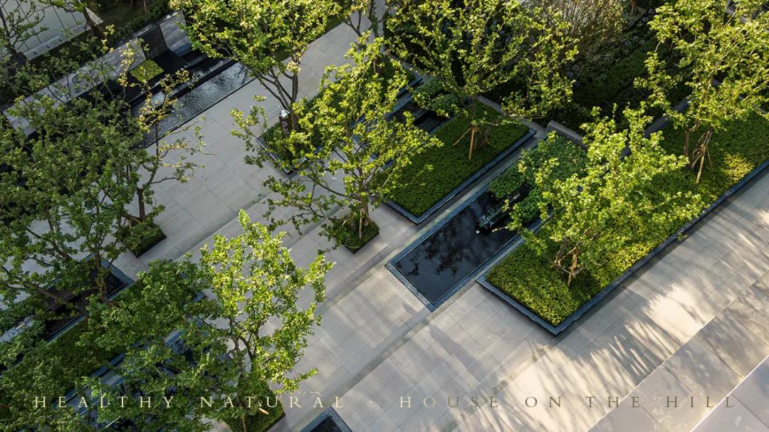 山林下的低密时光|重庆中南·玖著天宸/赛肯思景观