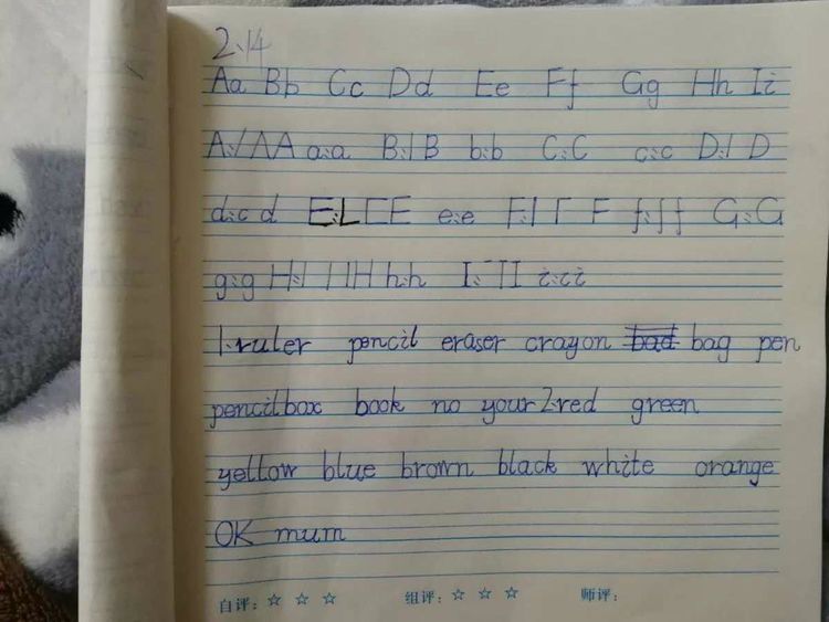 并肩前行，共筑梦想——兰小英语在行动