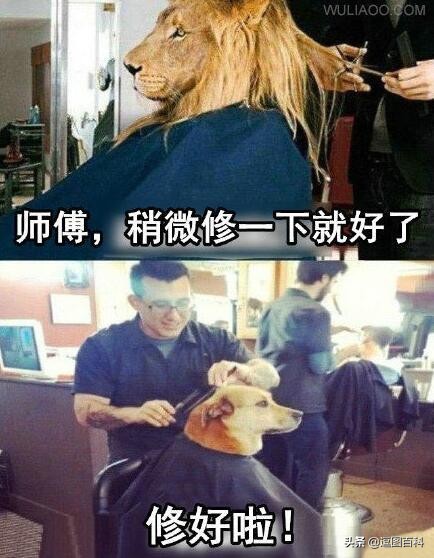 每日一笑二十四期,每日一笑深度解读