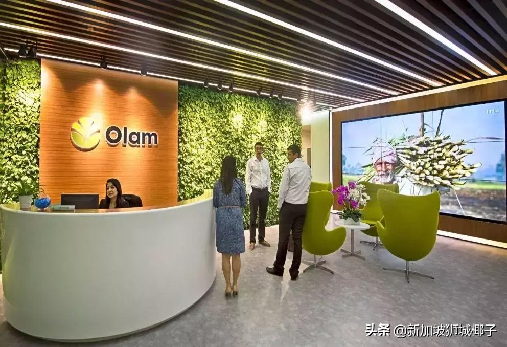 新加坡前十公司,新加坡十大公司排行榜