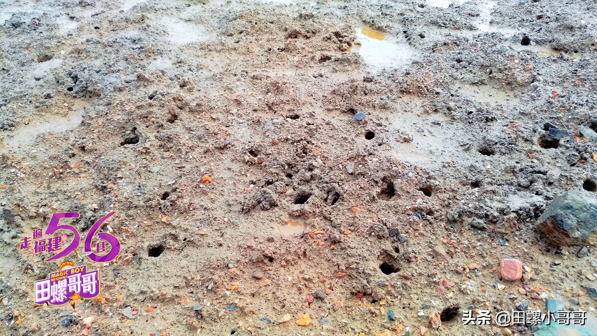 海岸线最短的沿海省,我国海岸线最浅的地方