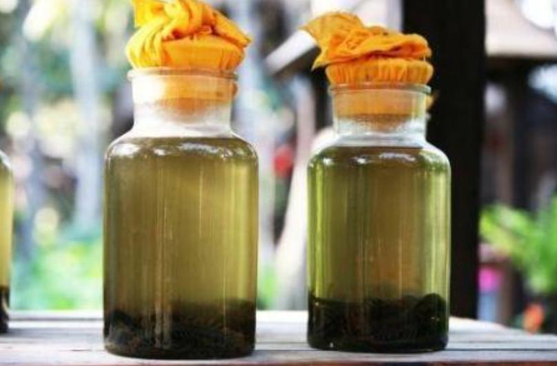 蛇最长时间能活多久,泡酒两三年的蛇打开瓶盖还会咬人