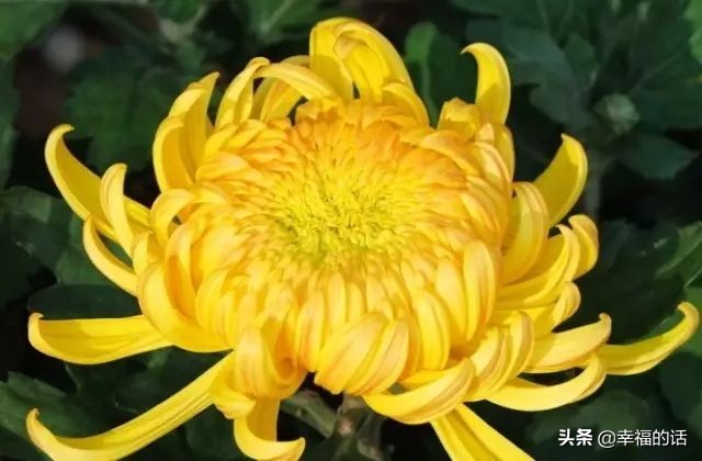 不生气歌儿歌,不生气的消气歌