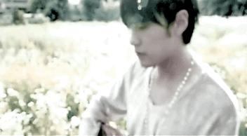 绿符LEAFOR|七里香的香到底是什么香？