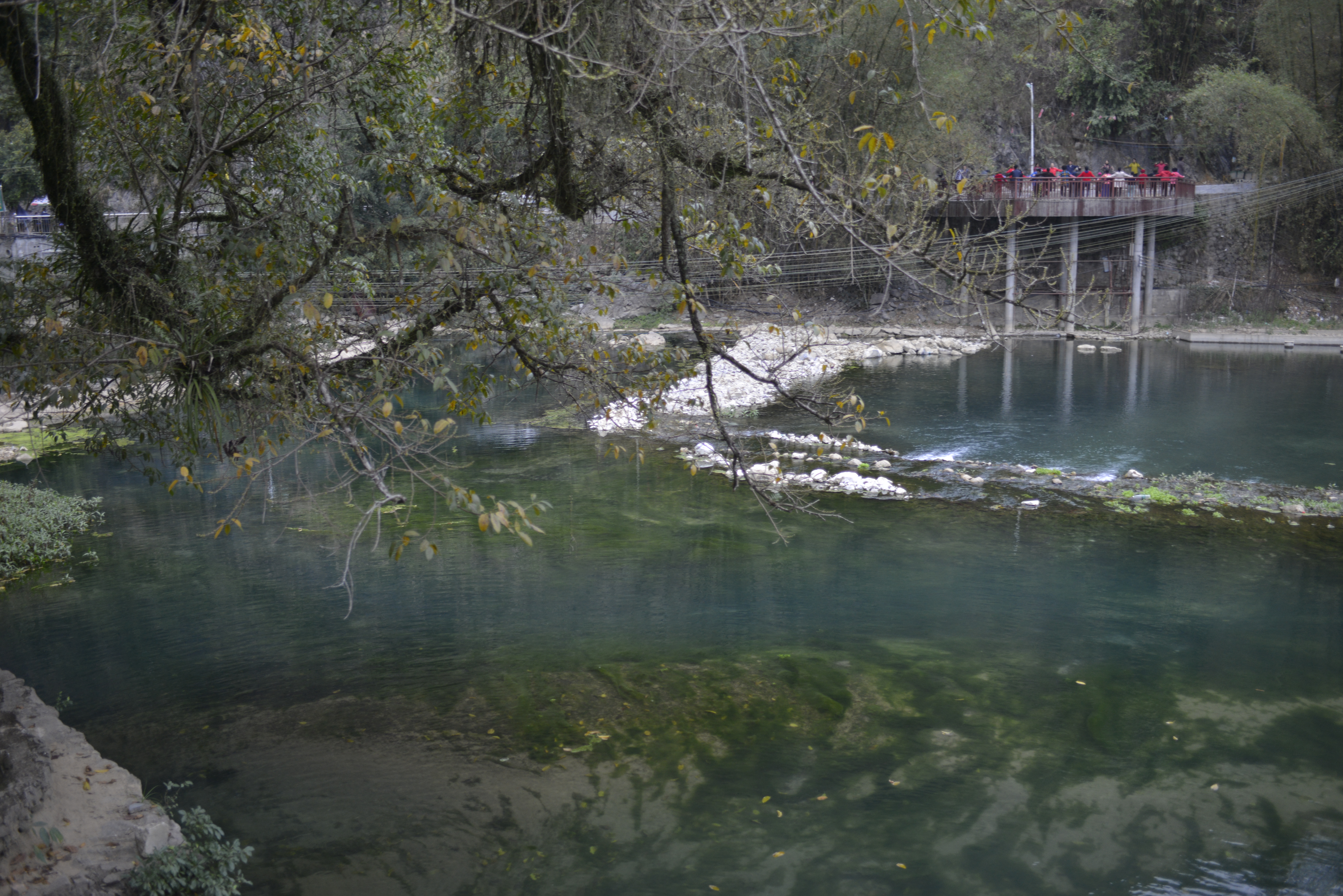 巴马长寿老人有什么说法,广西巴马长寿的真实原因