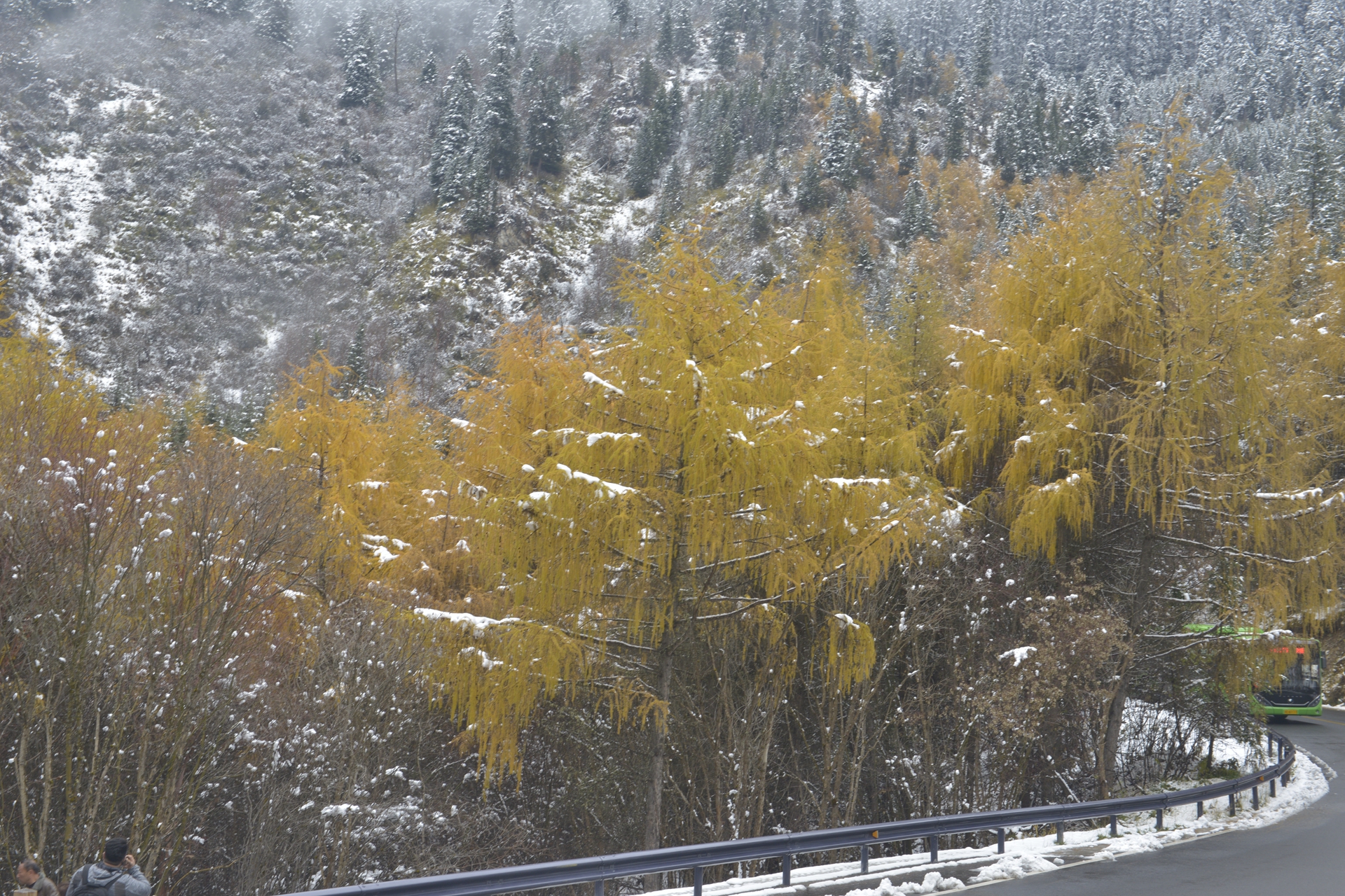 九寨沟梦幻天堂,自驾畅游九寨沟童话世界