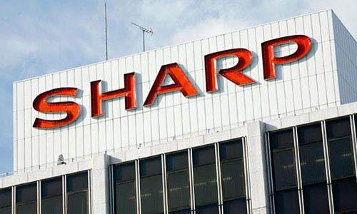 夏普创业经历,有料有限公司