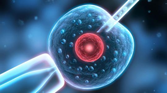 不打麻药取一颗卵子会有多疼,取好卵打麻药会影响卵子吗