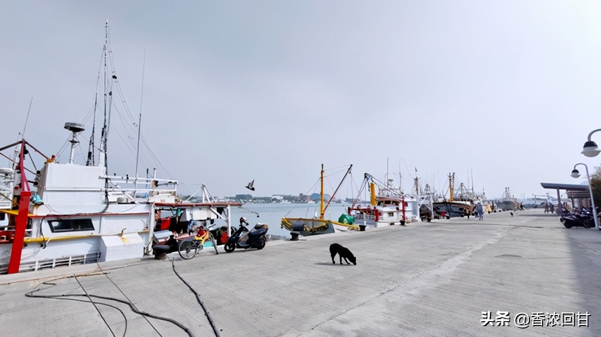 台湾乌鱼子哪里出产最好吃,乌鱼子整根吃