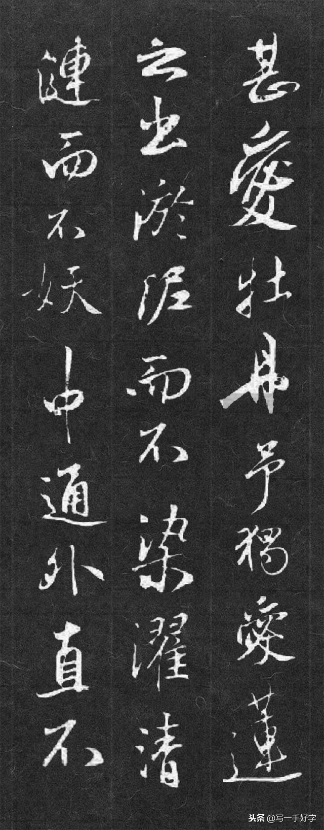 书法作品爱莲说创作说明,书法作品爱莲说展示模板