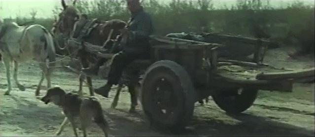 *播禁**26年，演员被捕，这部国产*片禁**终于被找到