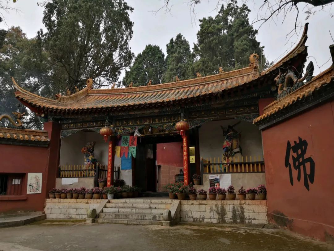 昆明避暑冷惨了外省人,昆明过冬真实感受