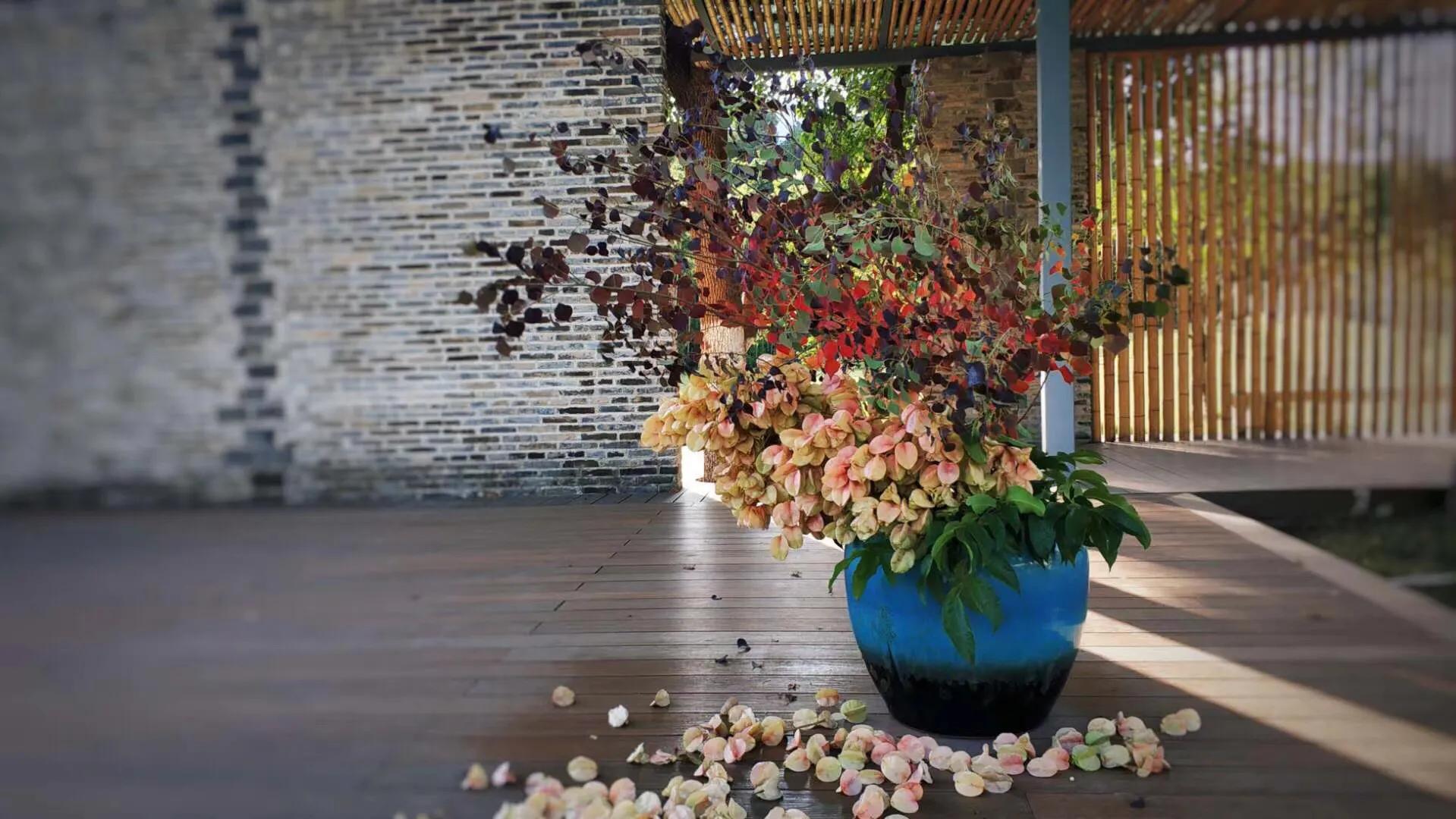 美即是正义是什么梗,美即是医用面膜吗