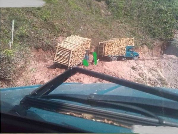 农机绿牌货车改蓝牌,绿牌农机换蓝牌