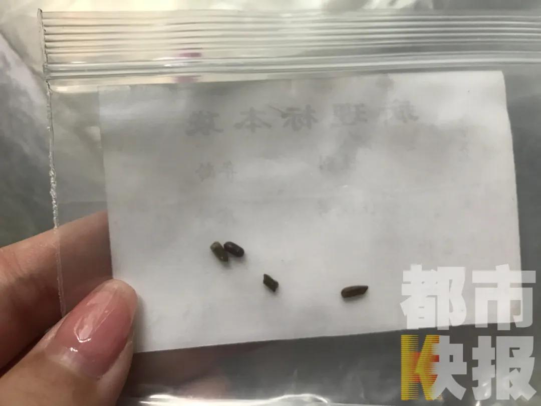 西安一幼童遇“飞虫入耳”，医生：千万别掏！可用这种东西