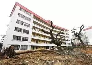 深圳一个让人伤心的城市,泪崩了原唱完整版